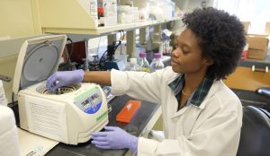 Scientist in the lab