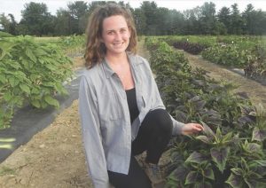 Woman scientists in field of basil